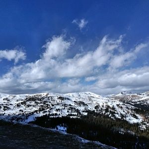 Meet your Posher, Alisha